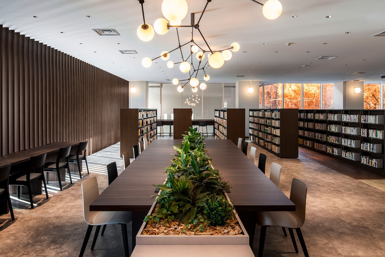 �Ջ���ȑ�w�}����