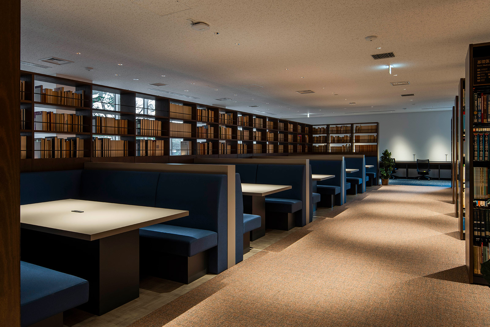 �Ջ���ȑ�w�}����