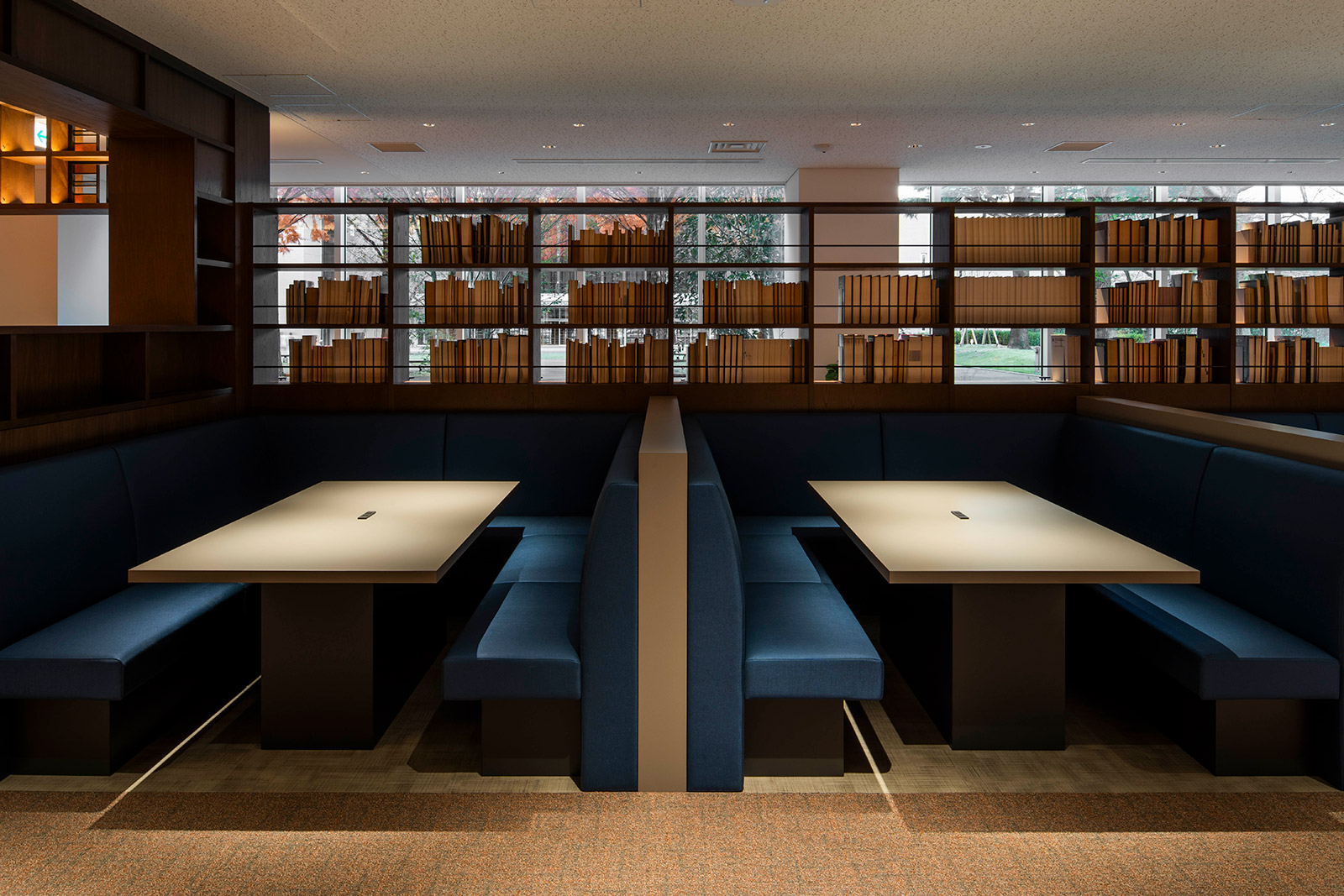 �Ջ���ȑ�w�}����