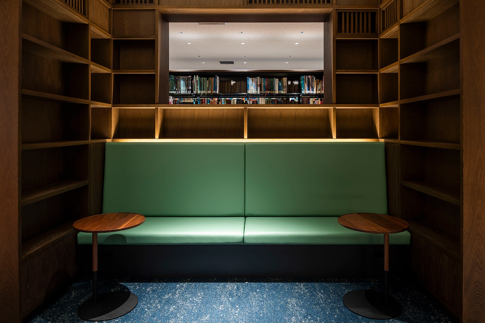 �Ջ���ȑ�w�}����