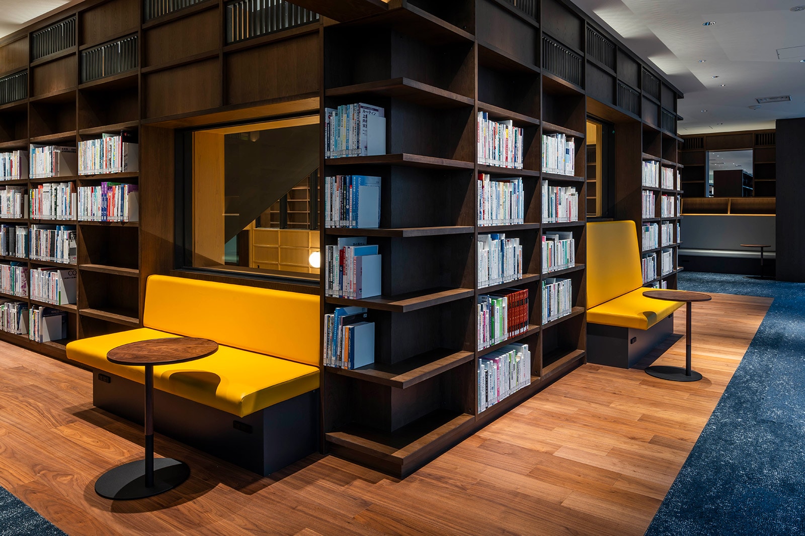 �Ջ���ȑ�w�}����