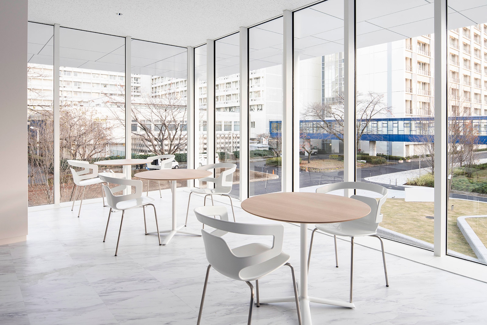 �Ջ���ȑ�w�}����