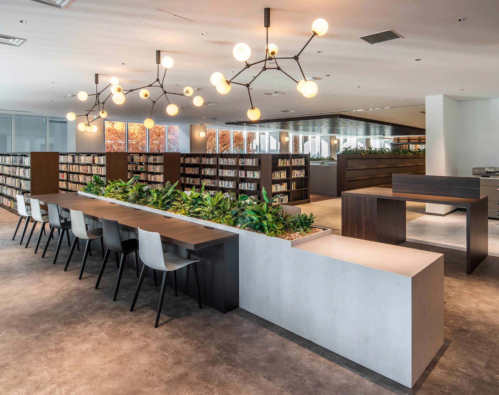 �Ջ���ȑ�w�}����