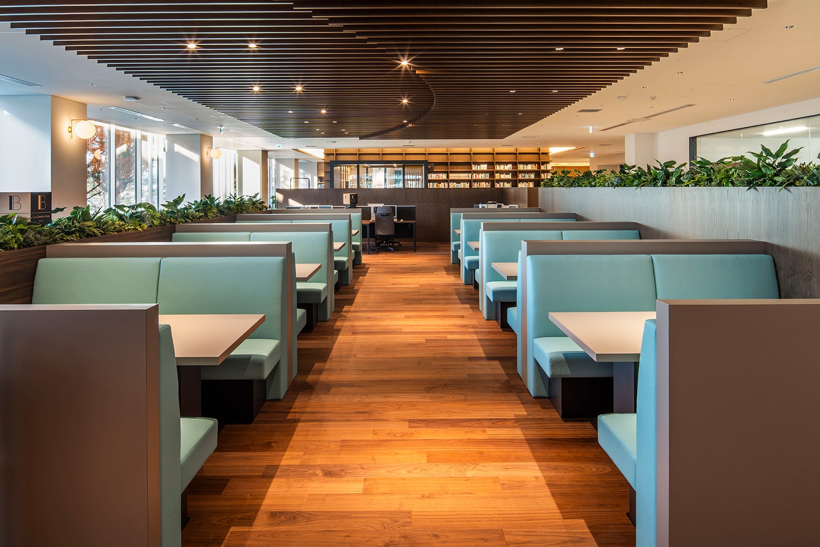 �Ջ���ȑ�w�}����