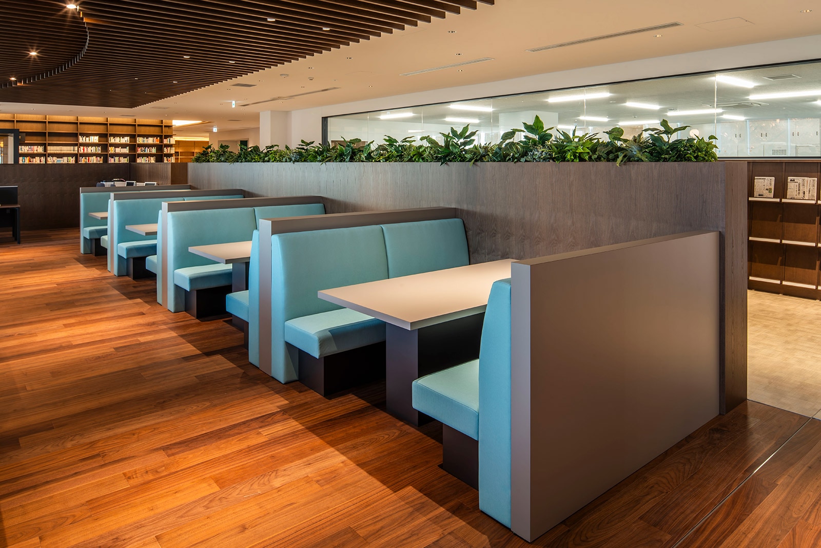 �Ջ���ȑ�w�}����