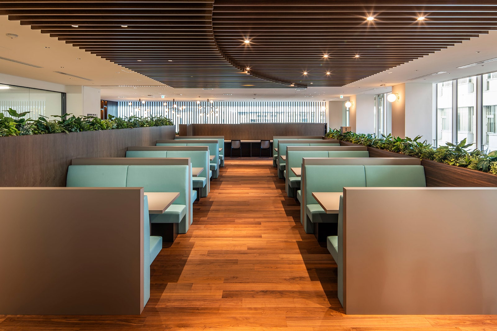 �Ջ���ȑ�w�}����