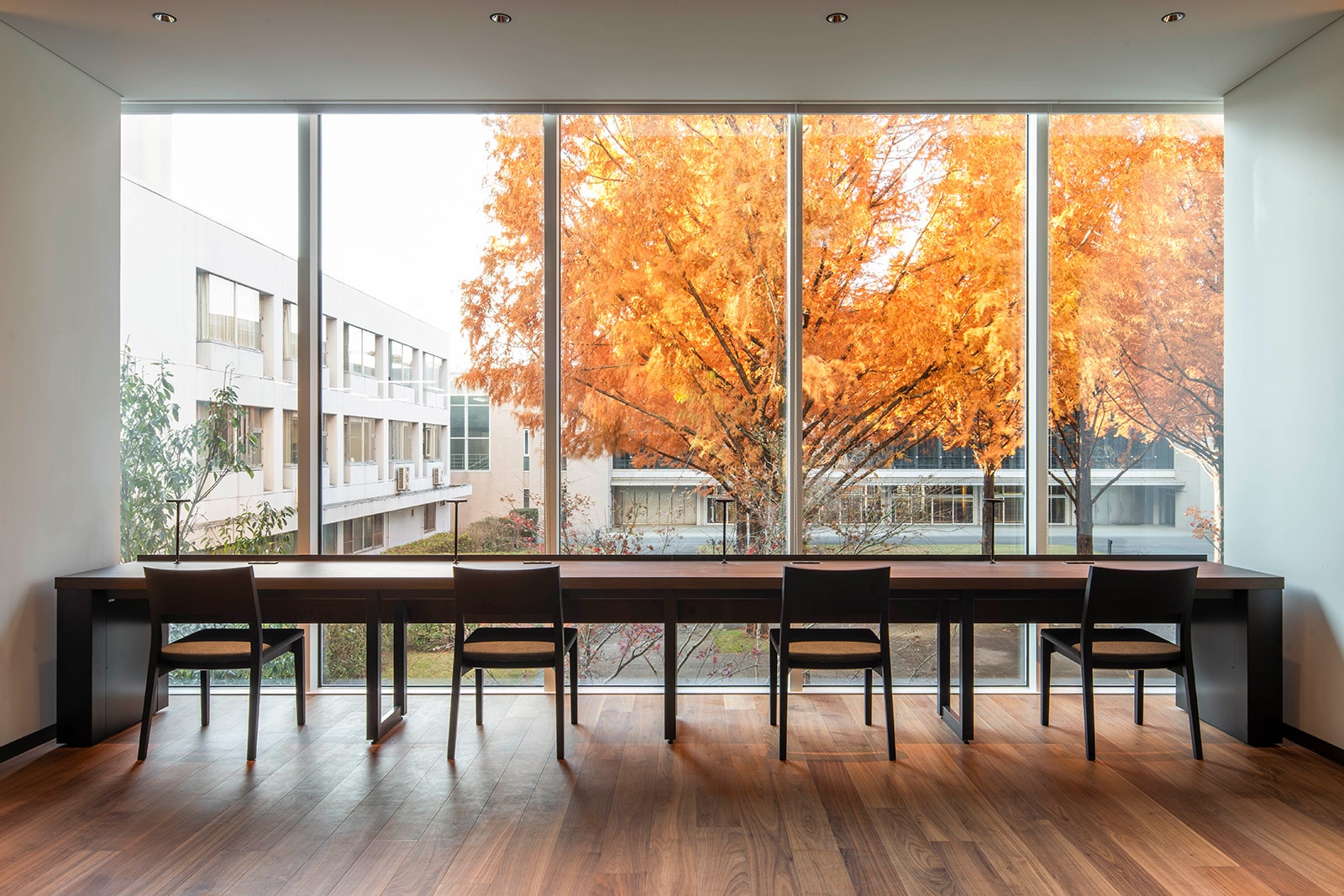 �Ջ���ȑ�w�}����