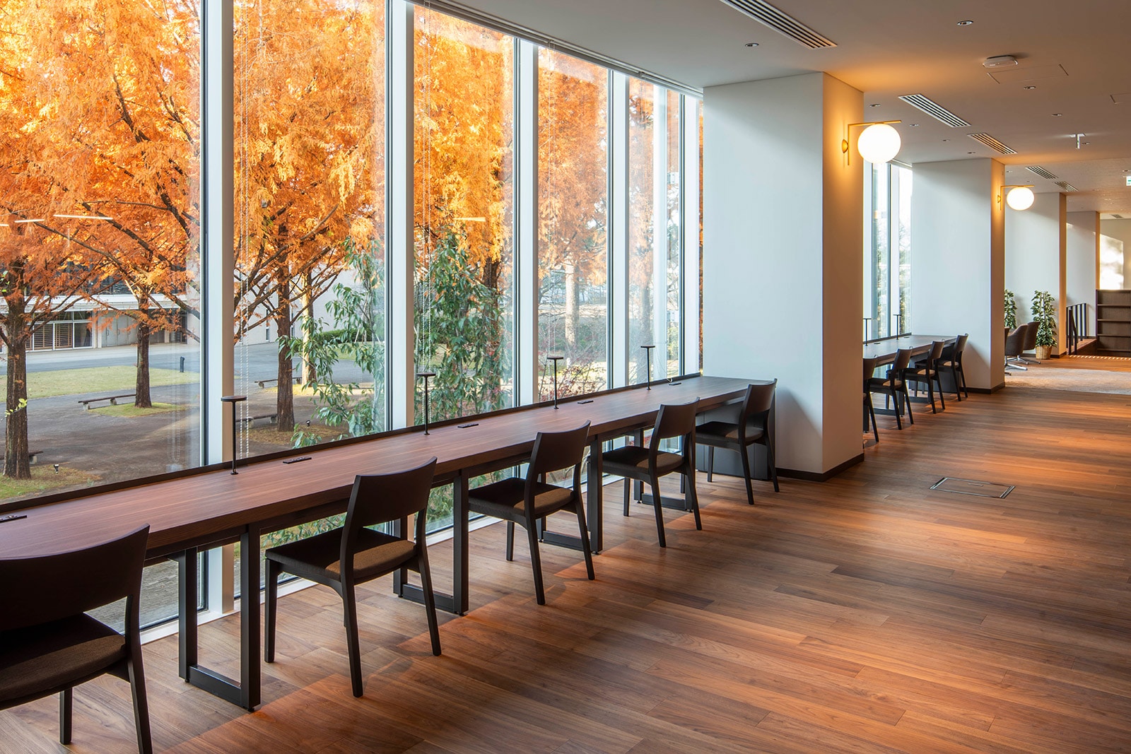 �Ջ���ȑ�w�}����