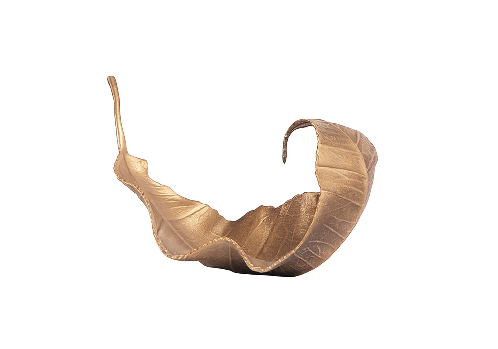 LIANG&EIMIL�i������ & �G�C�~���j- DRYAS SCULPTURE�I�u�W�F