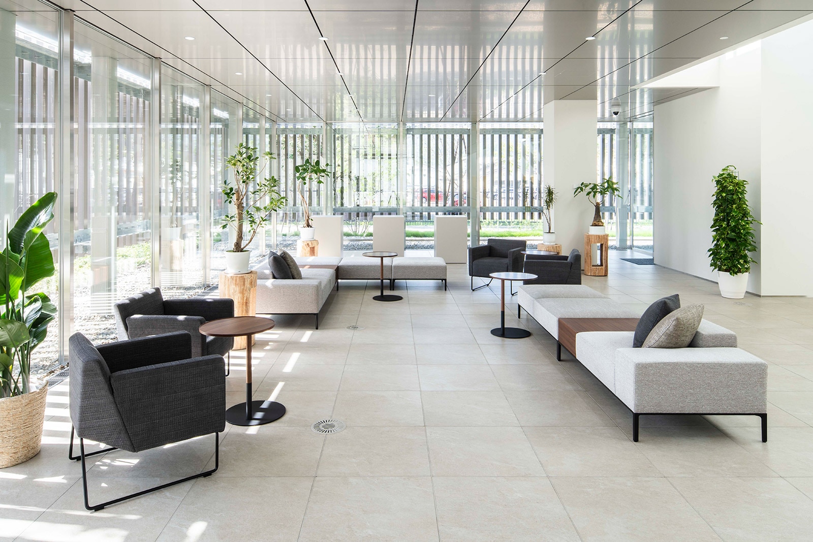 ������ЗL�򐻍쏊