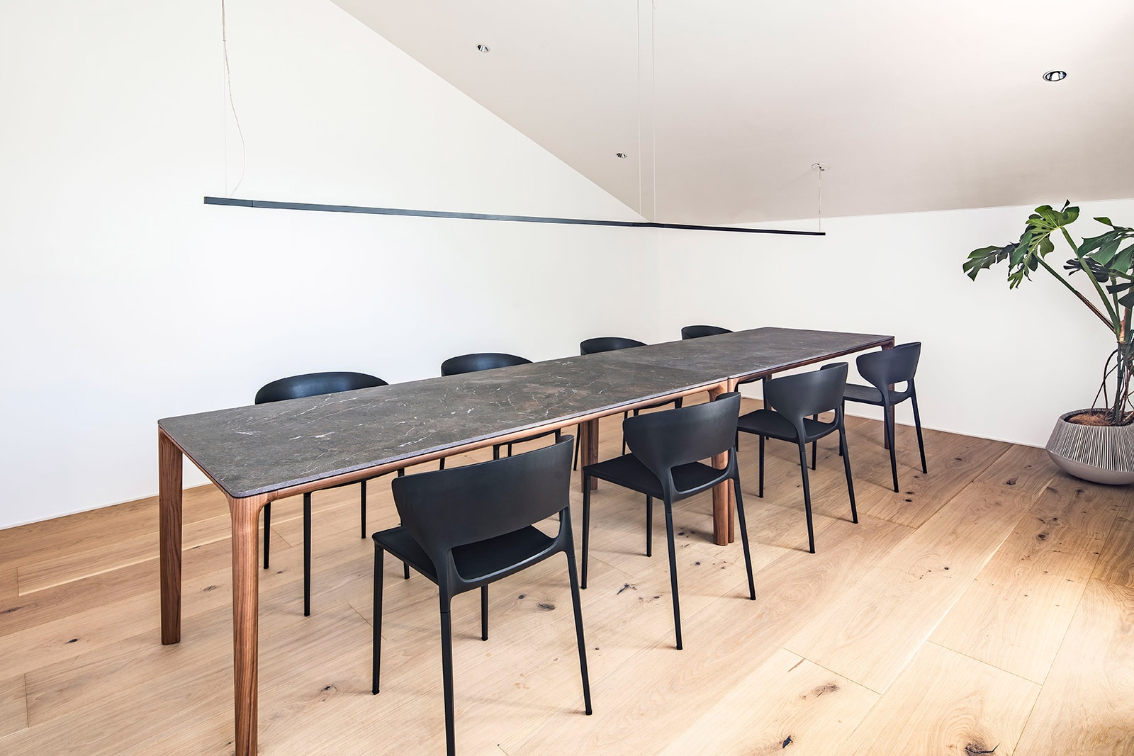 �������LIFE's