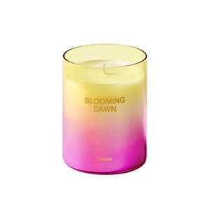 Cassina (カッシーナ) - BLOOMING DAWN Candle キャンドル M
