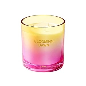 Cassina (カッシーナ) - BLOOMING DAWN Candle キャンドル L