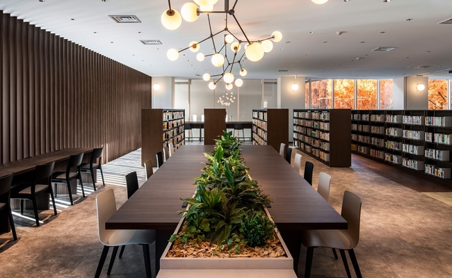 �Ջ���ȑ�w�}����