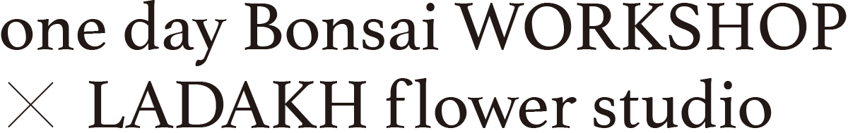 one day Bonsai WORKSHOP x LADAKH flower studio