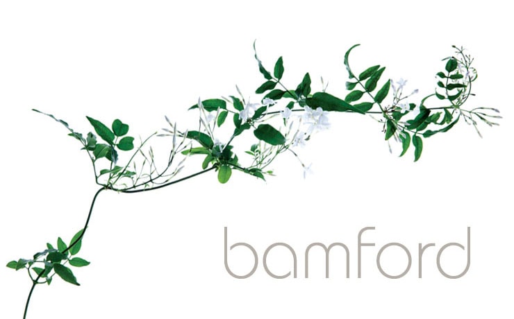 <span>2014.06.04</span>Xp琶܂ꂽOWA[I[KjbNuh uBamfordv