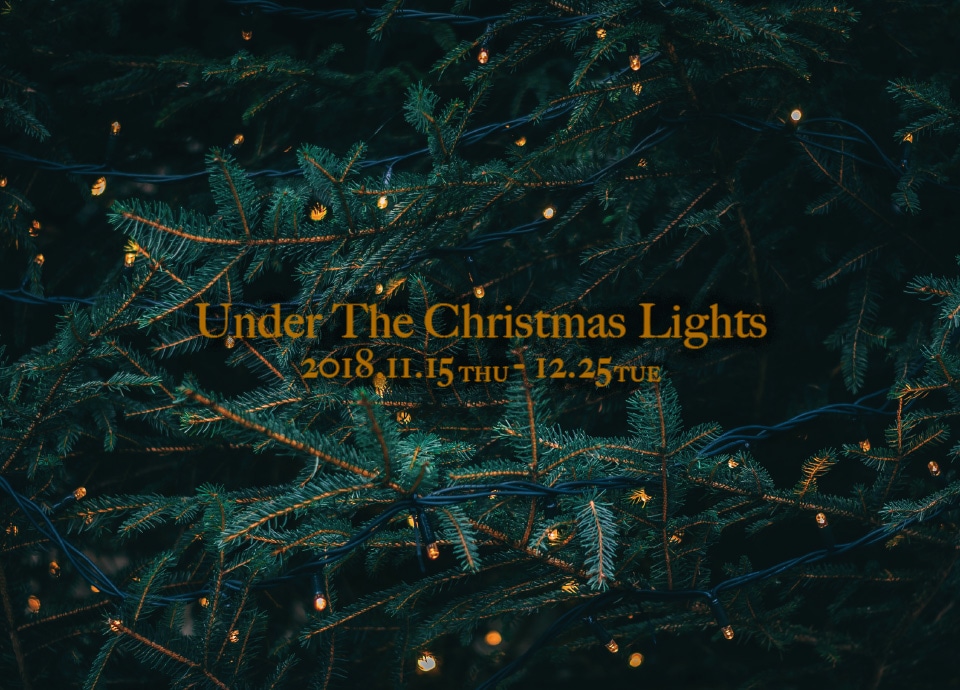 <span>2018.11.01</span>UNDER THE CHRISTMAS LIGHTS