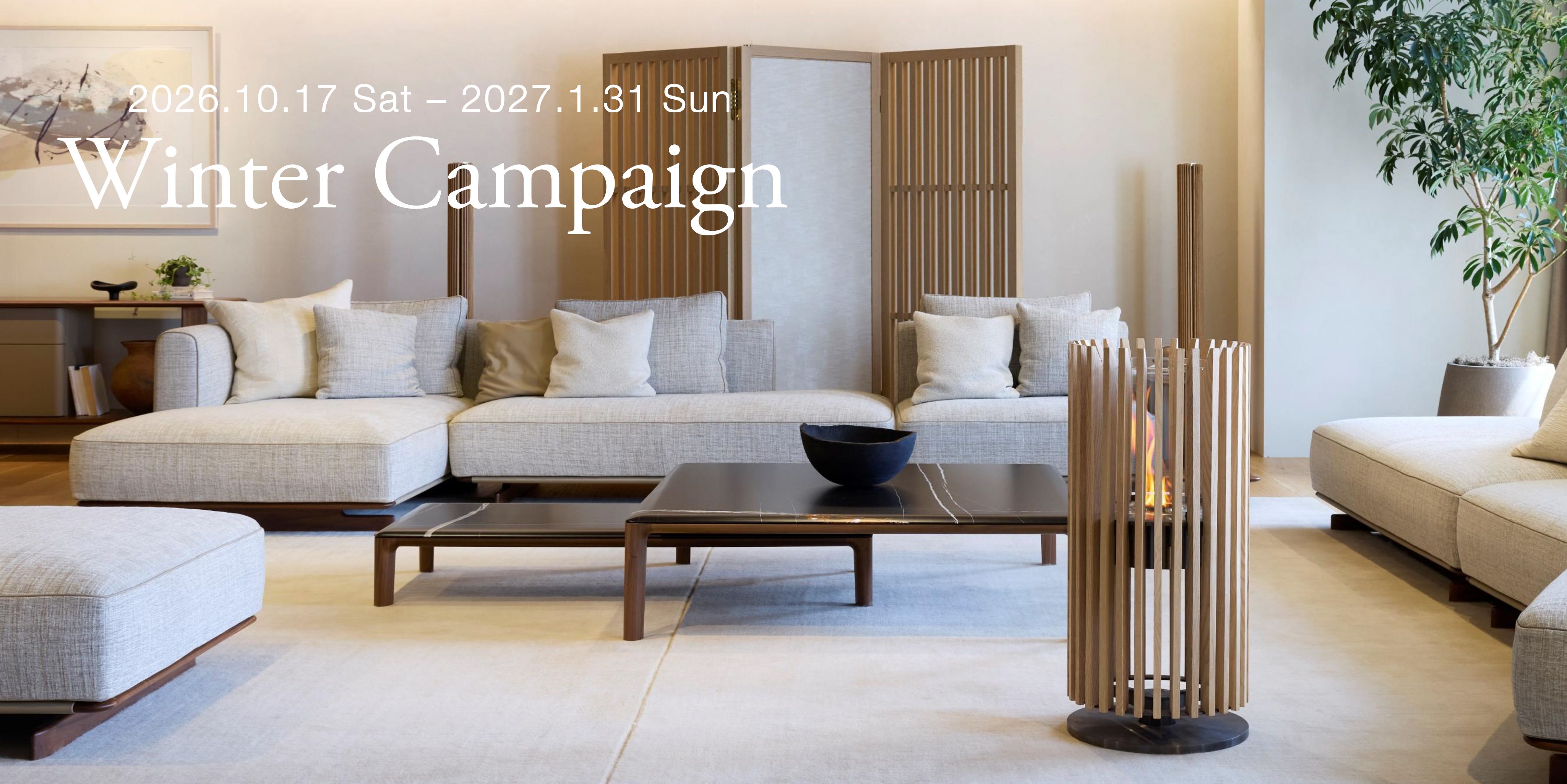 Ecosmart Fire Campaign